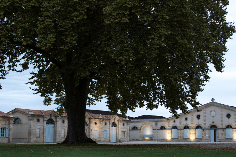 Casa de pivniță Château Cantemerle Casa de pivniță Château Cantermerle