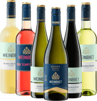 pachet de degustare de 6 vinuri din Palatinat de Weinbiet Manufaktur