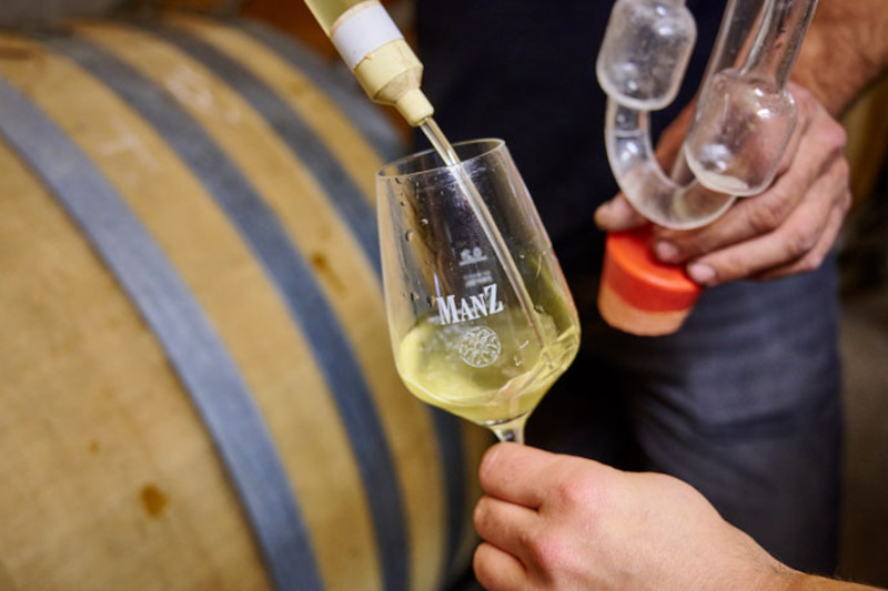 Weingut Manz Fassprobe Weingut Manz Fassprobe