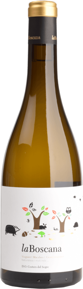Previzualizare: 6x Pachet de degustare - Vinuri din Catalonia - mai mult decât Cava