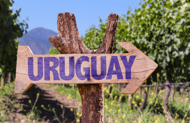 Podgorie în Uruguay cu indicator