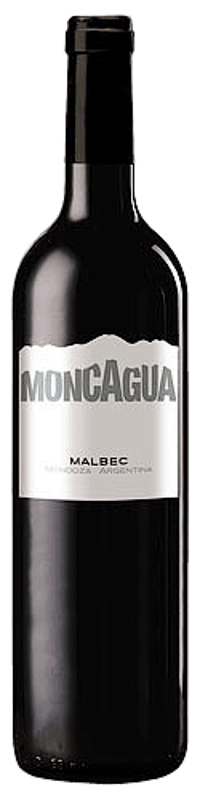 Malbec Moncagua - Belasco de Baquedano