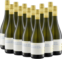 Ein Tag am Meer Sauvignon blanc uscat - Weingut hammel - 12x pachet de degustare