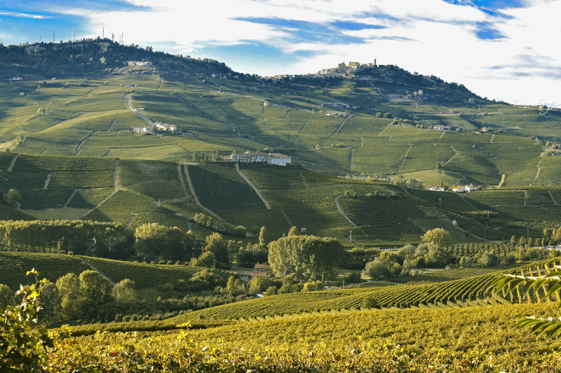 Panorama viilor din Barolo Panorama viilor din Barolo