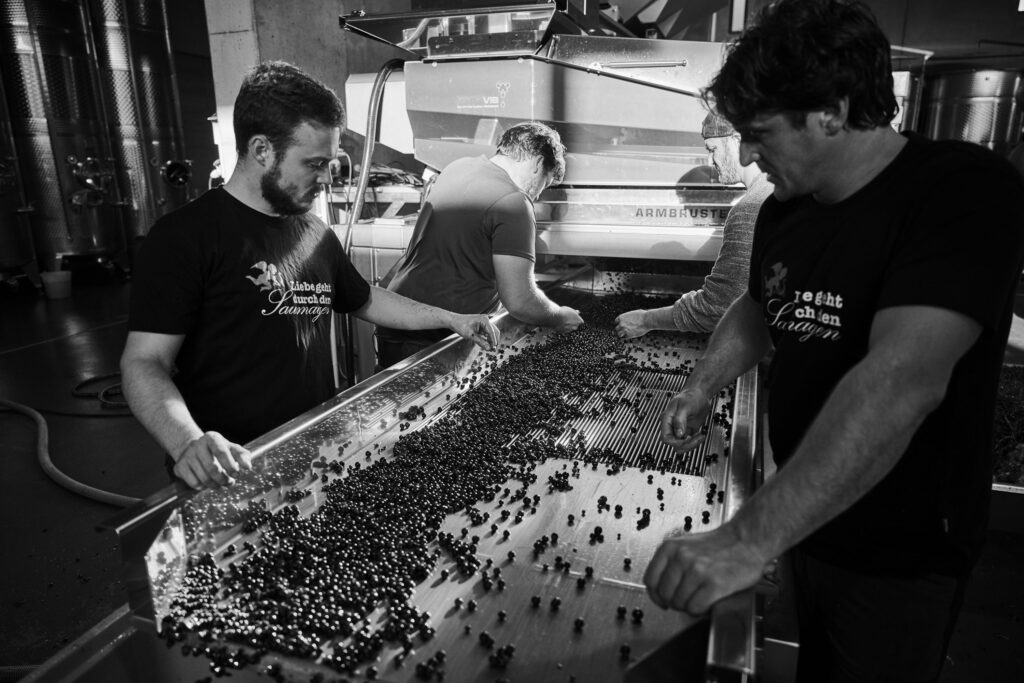 În casa de presă a vinului Weingut Rings În casa de presă a vinului Weingut Rings