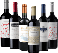 Previzualizare: 6x pachet de descoperire - vinuri roșii Reserva din America de Sud