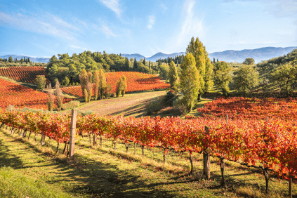 Podgoriile din Umbria