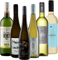 Savoare de vin alb fără alcool – pachet de degustare 6x