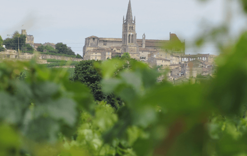 Vedere peste podgorii spre Saint-Émilion Vedere peste podgorii spre Saint-Émilion