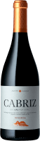 Previzualizare: Tinto Reserva DOC - Cabriz