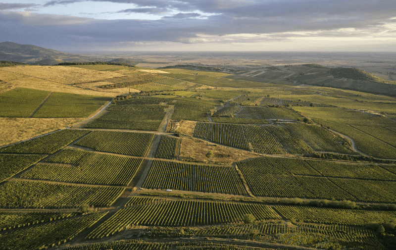 Podgorii Tokaj Hegyalja din perspectivă aeriană Podgorii Tokaj Hegyalja din perspectivă aeriană