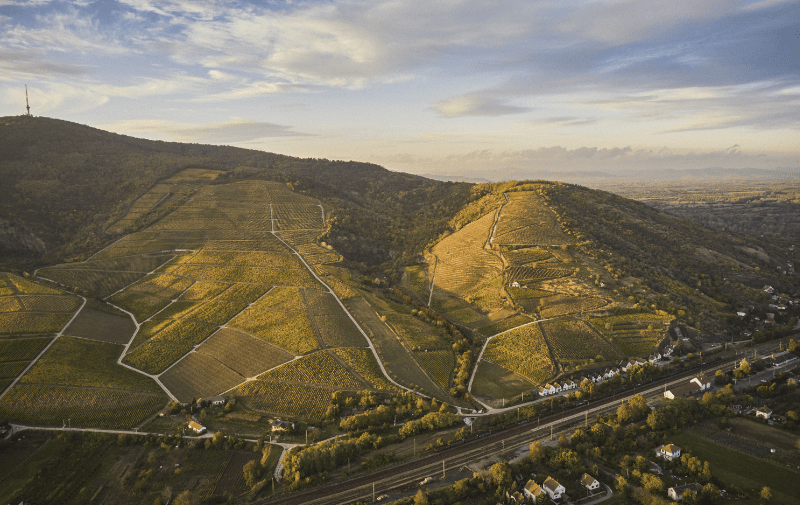 Tokaj perspectivă aeriană 2 Peisaj Tokaj din perspectivă aeriană