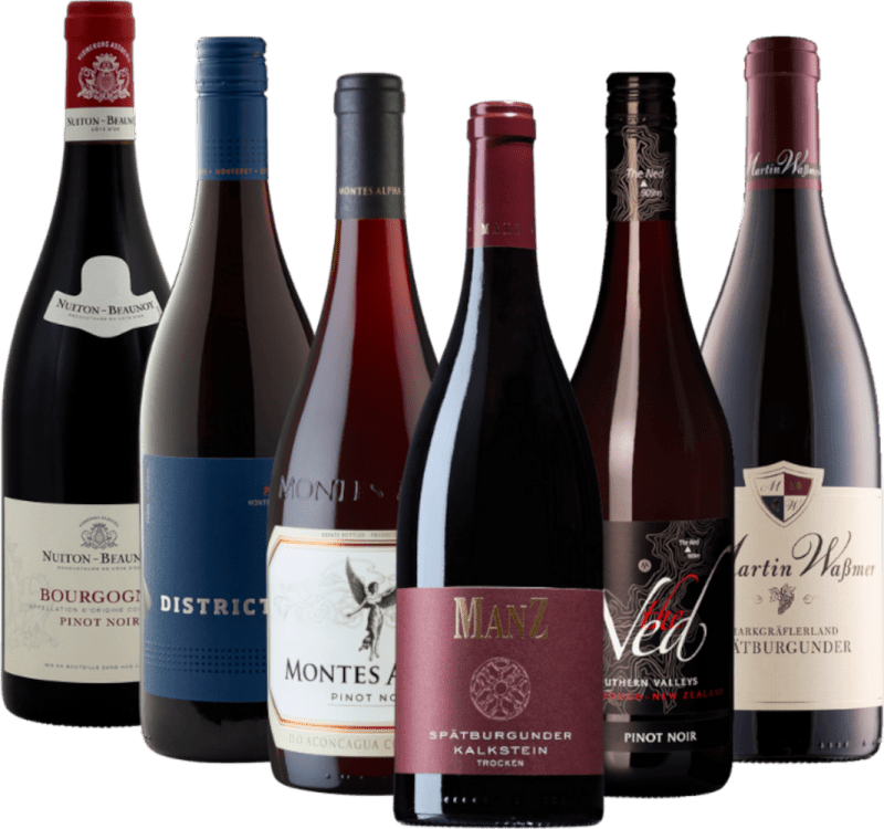 Pachet cu 6 soiuri de struguri – În jurul lumii cu Pinot Noir