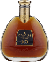 XO in GP - Camus