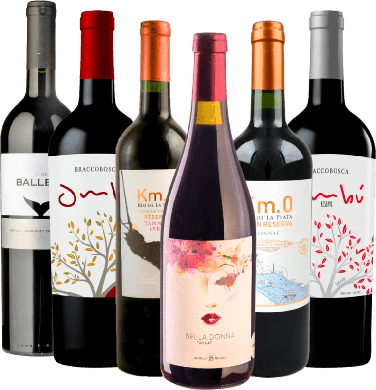 pachet de 6 soiuri de struguri - Best of Tannat Uruguay