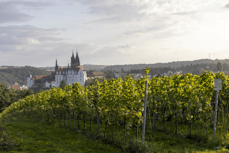 Weinhandwerk Meissen vie