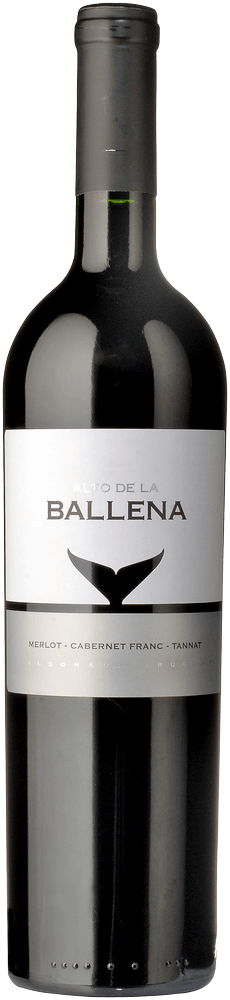 Previzualizare: pachet de 6 soiuri de struguri - Best of Tannat Uruguay