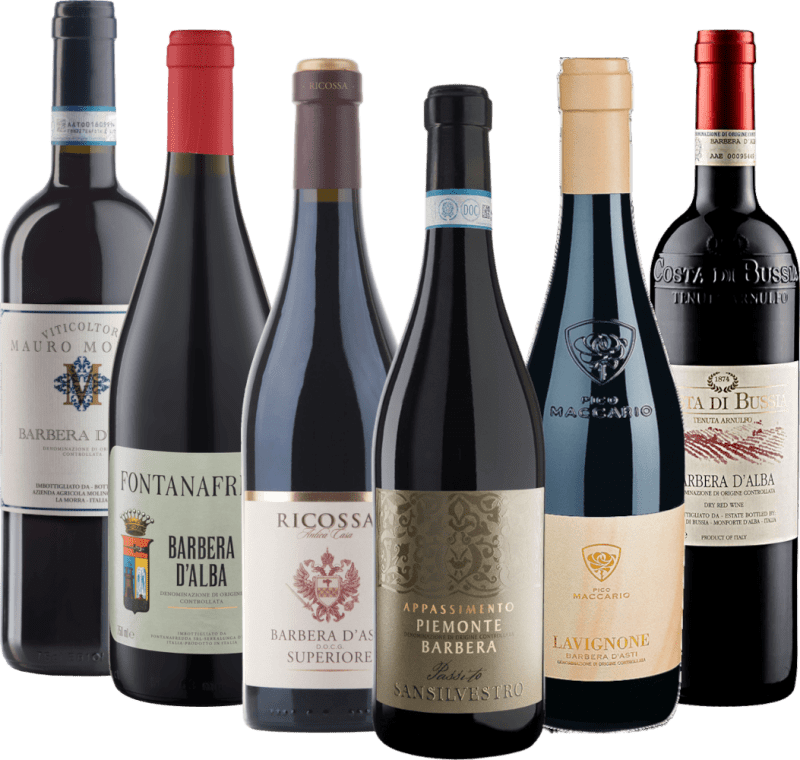 Cu Barbera prin Piemont - pachet de degustare 6x