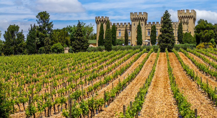Crama de la Châteauneuf-du-Pape