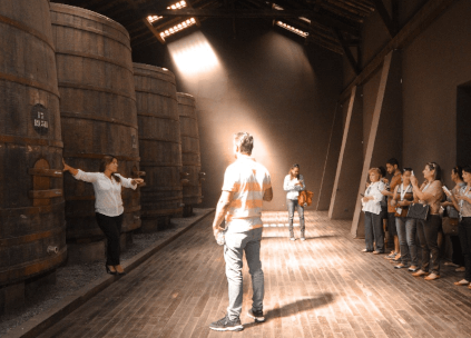 Santa Carolina Cellar