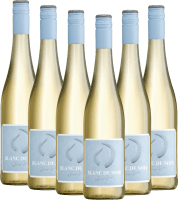 Stier Blanc de Noir - Weingut Hörner - 6x Vorteilspaket
