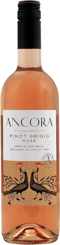 Pinot Grigio Rosé - Ancora