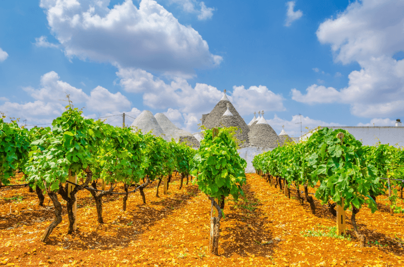 Vii cu case Trulli în Apulia