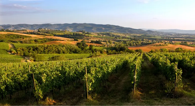 Călătorie a plăcerii prin Umbria cu Lungarotti - 6x pachet de degustare