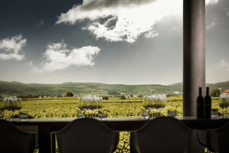 Markus Schneider Blick aus dem Verkostungsraum