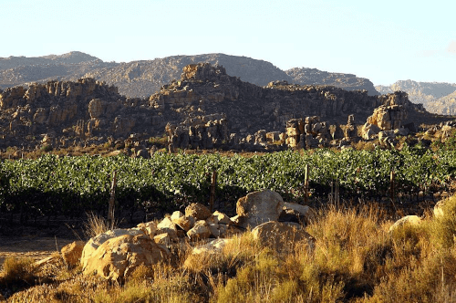 Stâncile stâncoase din Cederberg Stâncile stâncoase din Cederberg