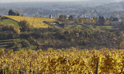 Podgorii în două țări