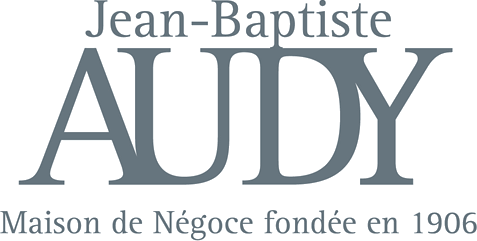 Jean Baptiste Audy