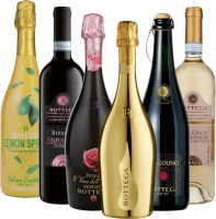 Previzualizare: Întreaga varietate Bottega – pachet de degustare 6x