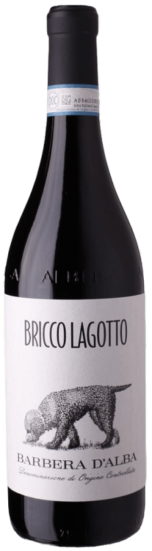 Barbera Piemonte DOC - Bricco Lagotto