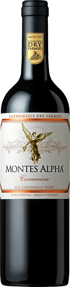 Previzualizare: 6er Probierpaket - Chiles großer Star - Carménère