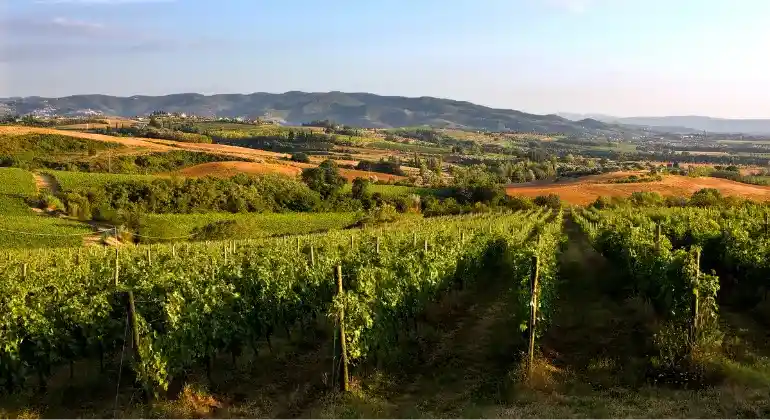 Călătorie a plăcerii prin Umbria cu Lungarotti - 6x pachet de degustare