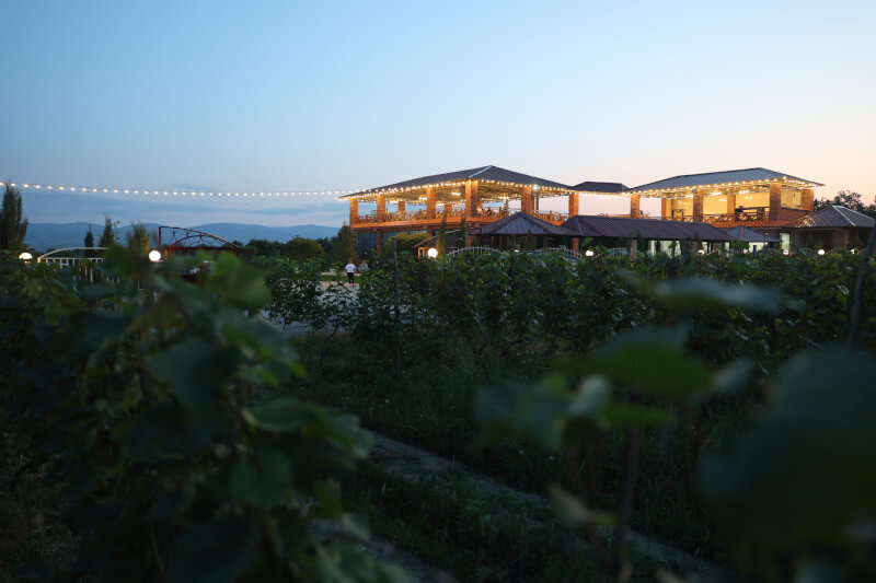 Weinberg Jobava Winery