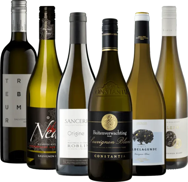 Cele mai bine vândute vinuri Sauvignon Blanc ale noastre