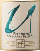 Previzualizare: Pecorino Spumante Brut - Tenuta Ulisse