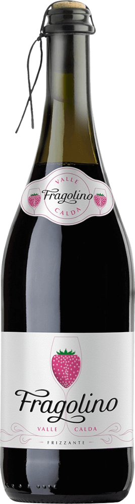 Previzualizare: 12er Vorteils-Weinpaket - Fragolino Valle Calda Frizzante - Vinicola Decordi