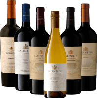 Sufletul lui Mendoza cu Bodegas Salentein - pachet de degustare 6x