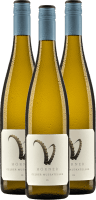 Steinbock Gelber Muskateller - Weingut Hörner - 3x Vorteilspaket
