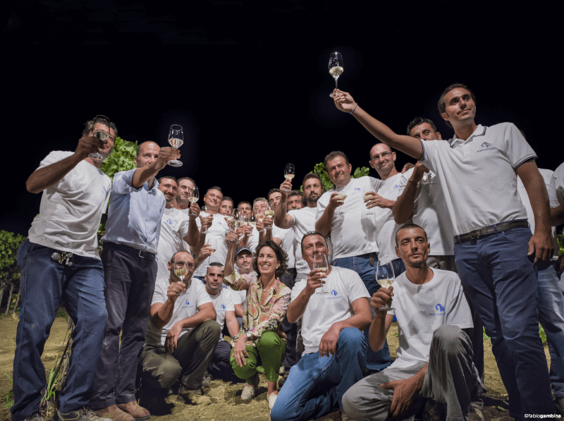 Recolta de noapte la Donnafugata Recolta de noapte la Donnafugata
