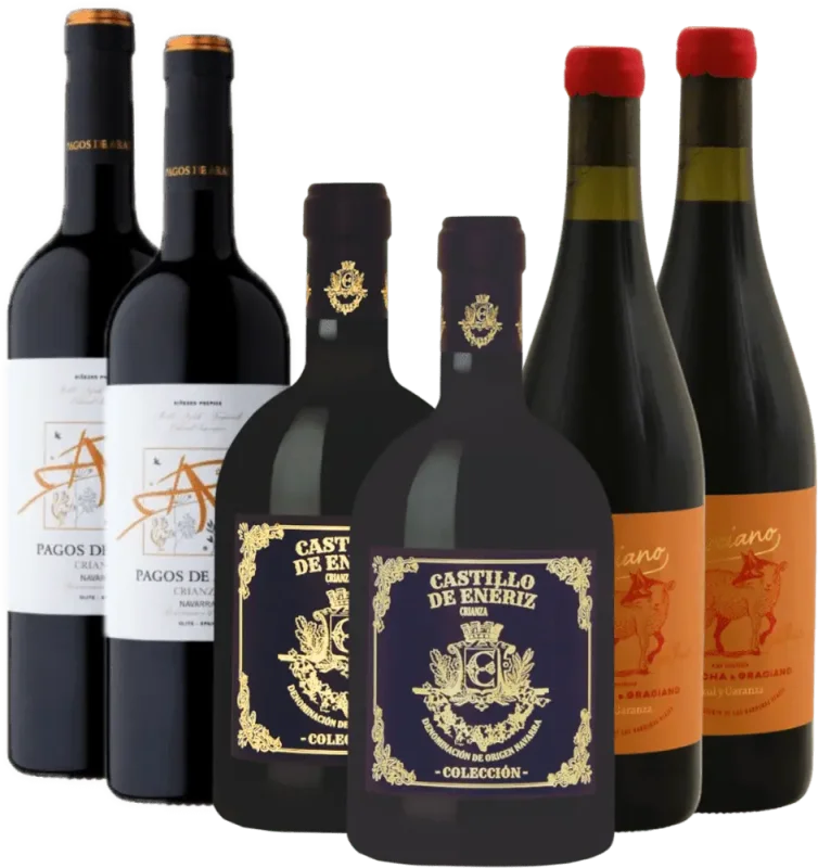 Consum de vin roșu din Navarra - pachet descoperire 6x