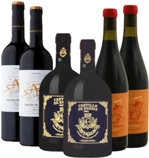 Consum de vin roșu din Navarra - pachet descoperire 6x