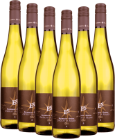 Zwölfter Mann - Ellermann-Spiegel - 6x Vorteilspaket