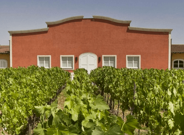 La Braccesca Tenuta