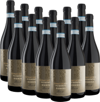 Previzualizare: San Silvestro Appassimento Passito Piemonte Barbera DOC - Sartirano 12er Vorteilspaket