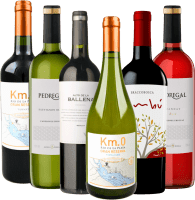 Previzualizare: 6er Kennenlernpaket - Weine aus Uruguay