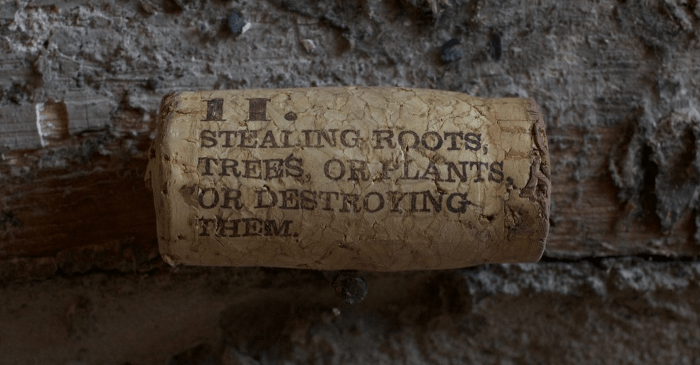 Un dop de plută - o crimă